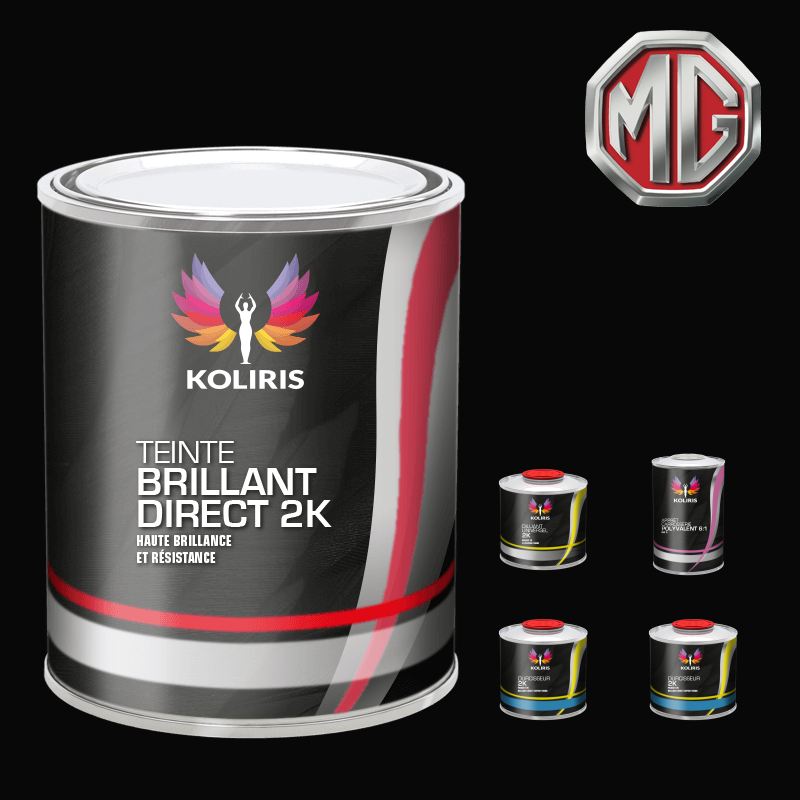 Pack peinture et primaire voiture brillant direct VOC420 Mg pour professionnels - Carenciel