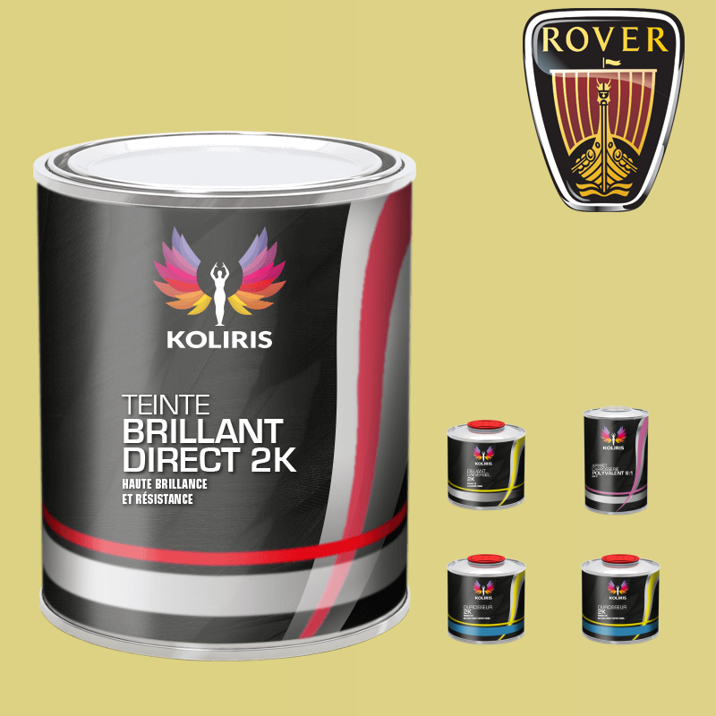 Pack peinture et primaire voiture brillant direct VOC420 Rover