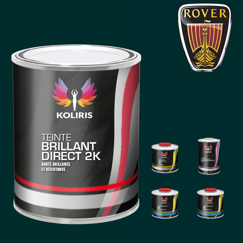 Pack peinture et primaire voiture brillant direct VOC420 Rover