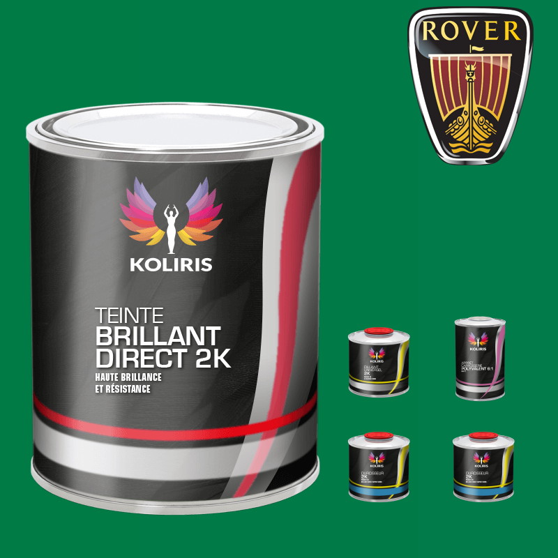 Pack peinture et primaire voiture brillant direct VOC420 Rover