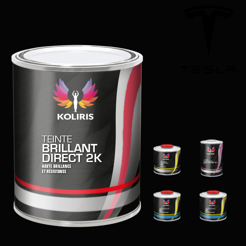 Pack peinture et primaire voiture brillant direct VOC420 Tesla
