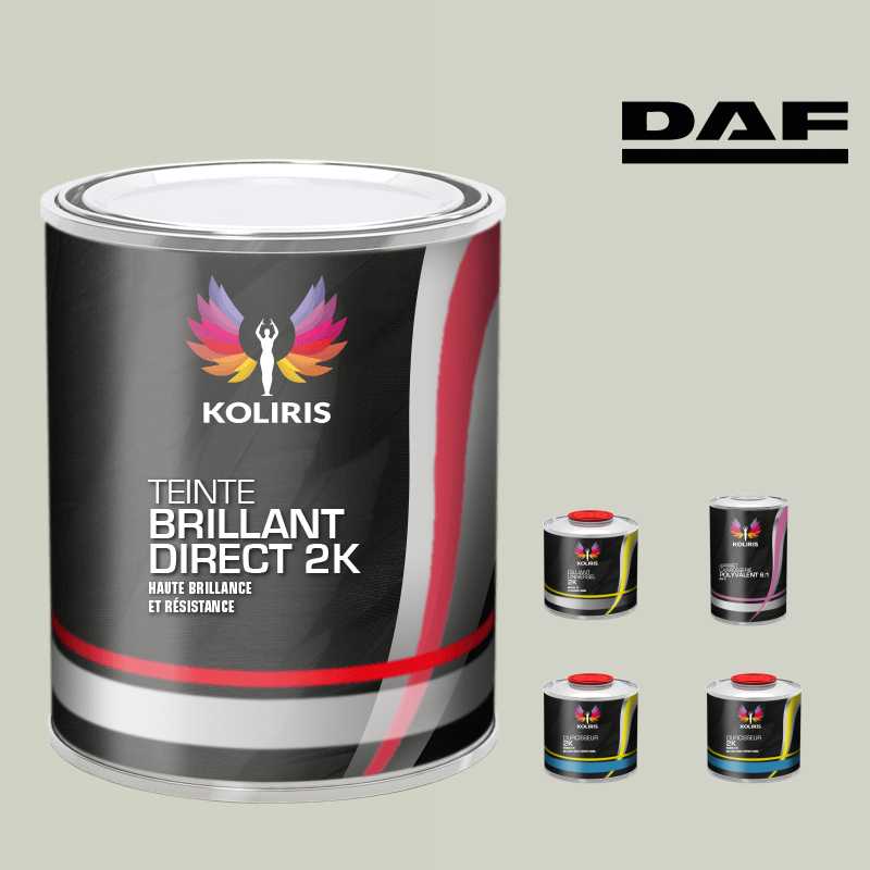 Pack peinture et primaire utilitaire - camion Daf VOC420 Koliris