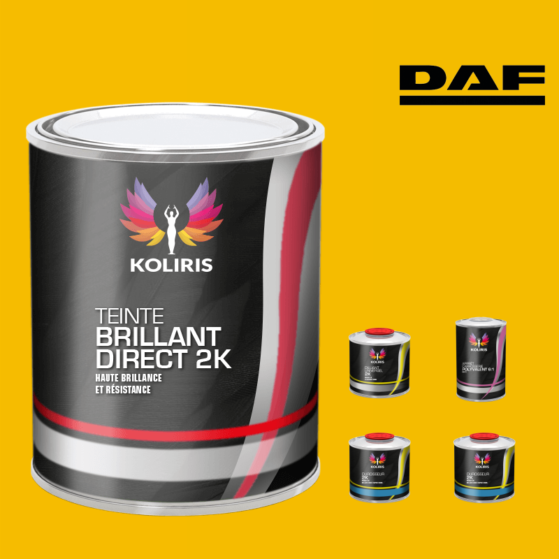 Pack peinture et primaire utilitaire - camion Daf VOC420 Koliris