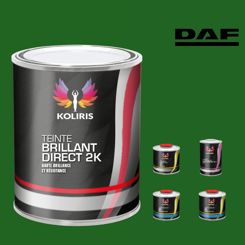 Pack peinture et primaire utilitaire - camion Daf VOC420 Koliris