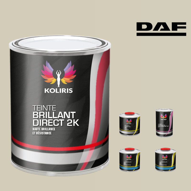 Pack peinture et primaire utilitaire - camion Daf VOC420 Koliris