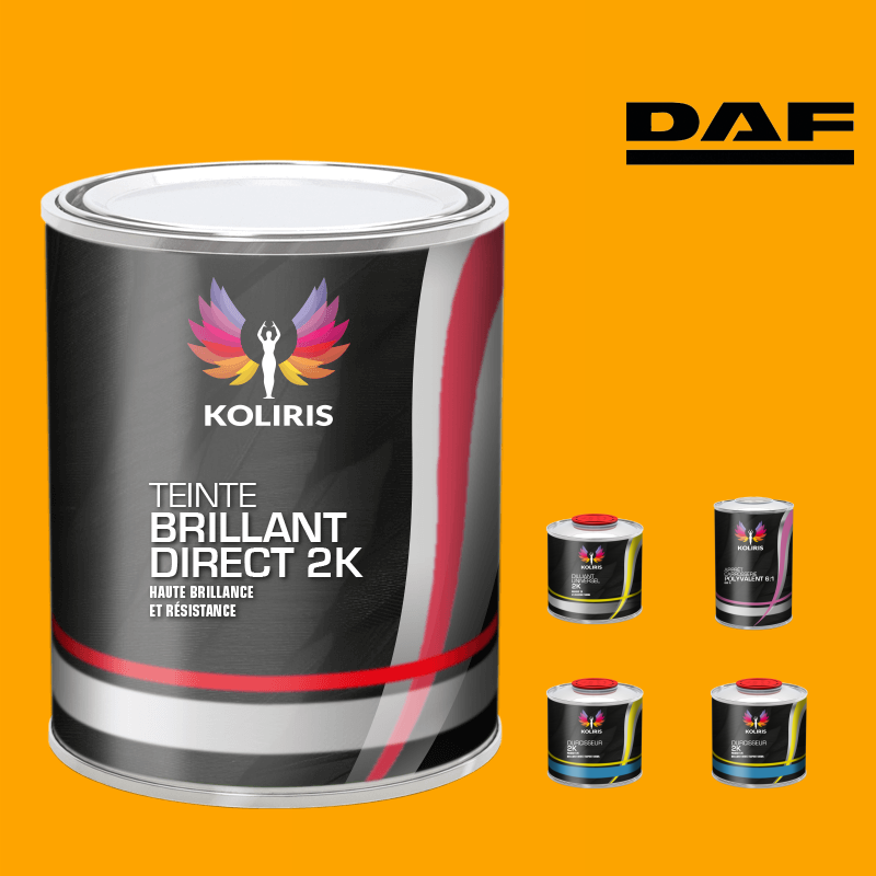 Pack peinture et primaire utilitaire - camion Daf VOC420 Koliris