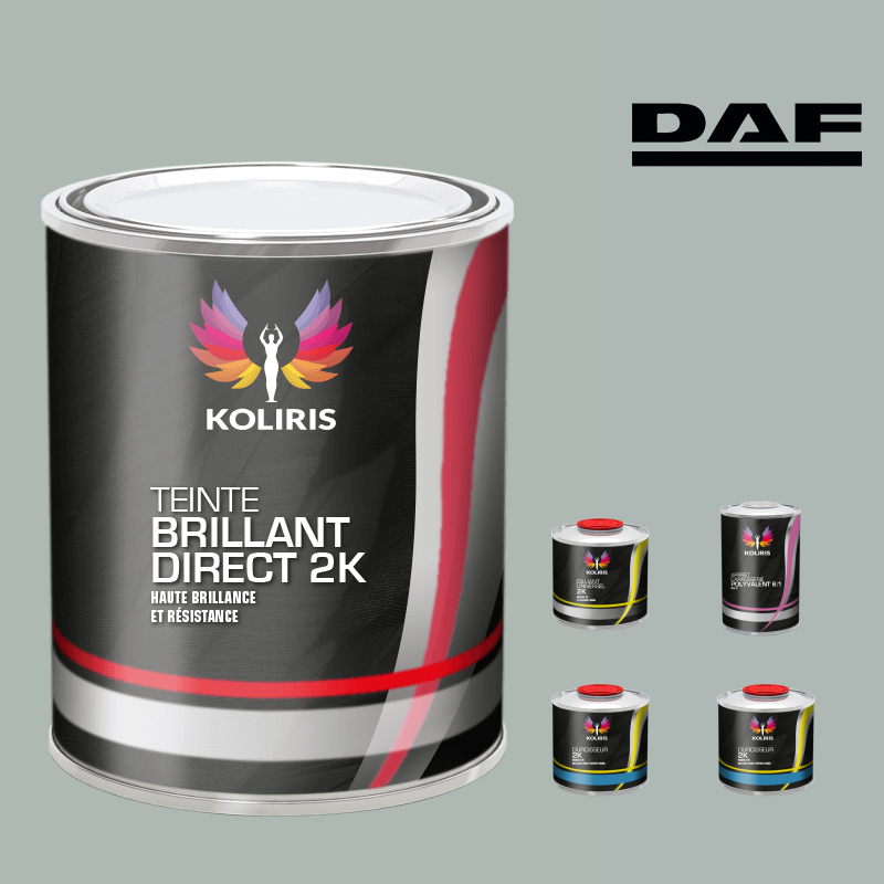 Pack peinture et primaire utilitaire - camion Daf VOC420 Koliris