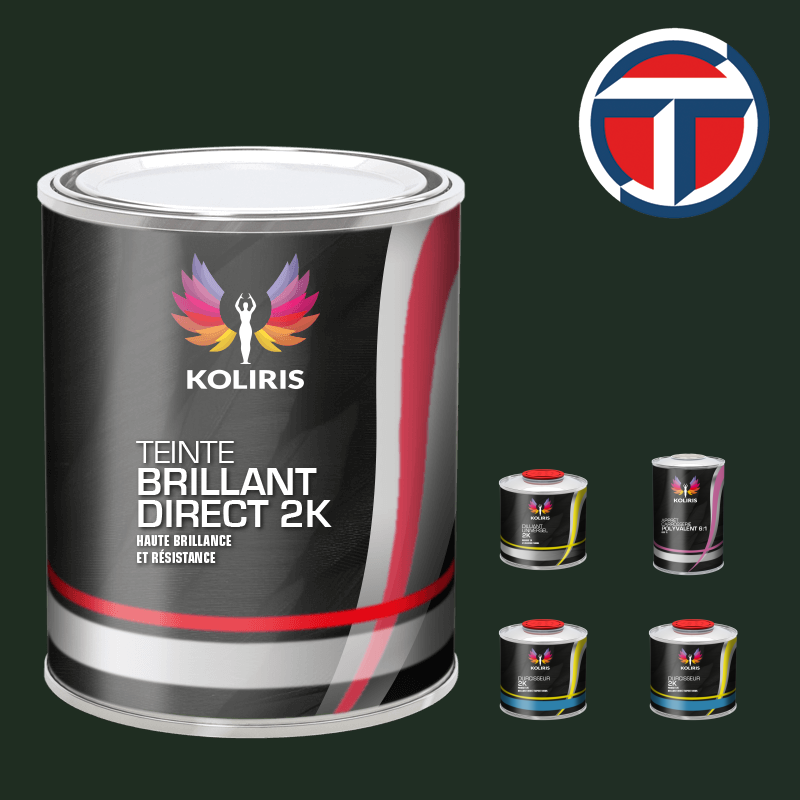 Pack peinture et primaire utilitaire - camion brillant direct VOC420 Talbot | Carenciel.pro
