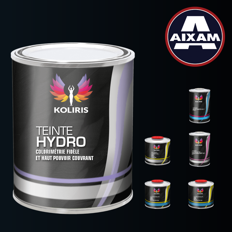 Pack peinture vernis apprêt voiture hydro Aixam en vente sur carenciel.pro