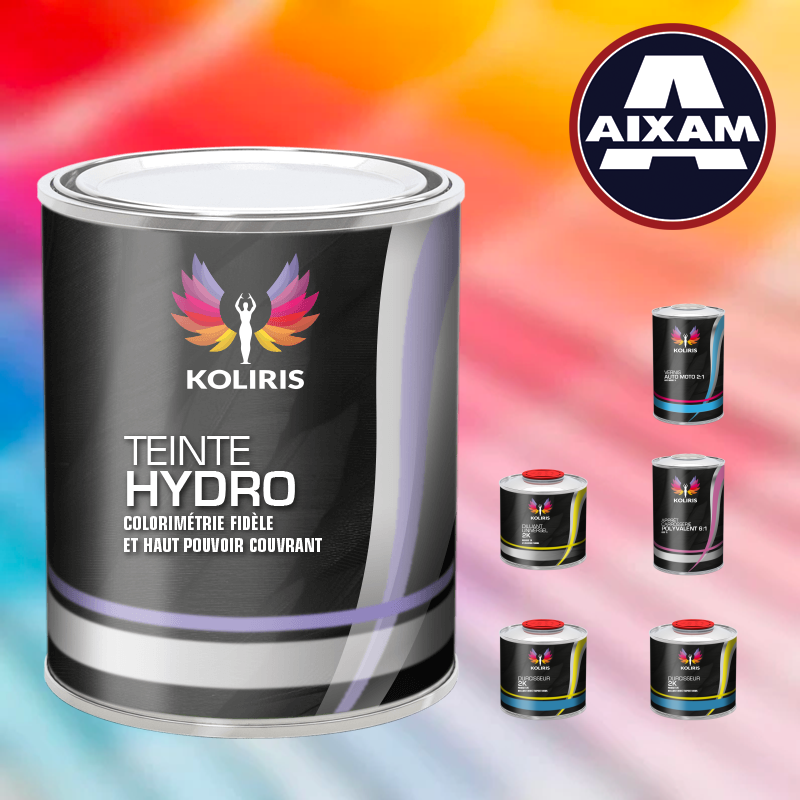 Pack peinture vernis apprêt voiture hydro Aixam en vente sur carenciel.pro