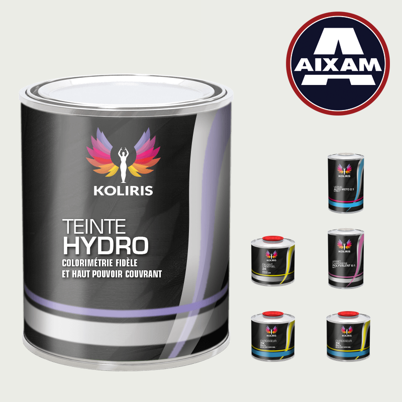 Pack peinture vernis apprêt voiture hydro Aixam en vente sur carenciel.pro