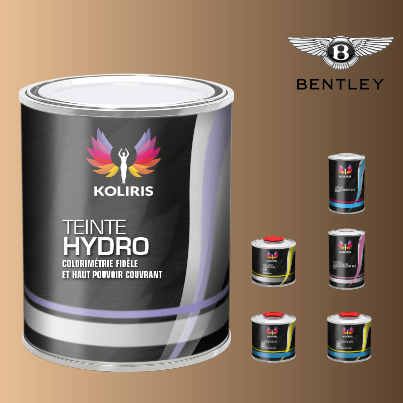 Pack peinture vernis apprêt voiture hydro Bentley