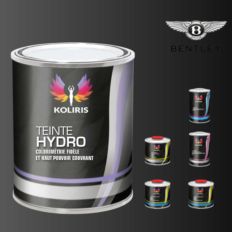 Pack peinture vernis apprêt voiture hydro Bentley