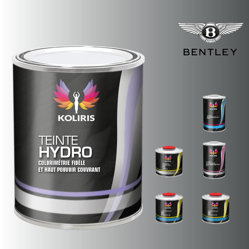 Pack peinture vernis apprêt voiture hydro Bentley