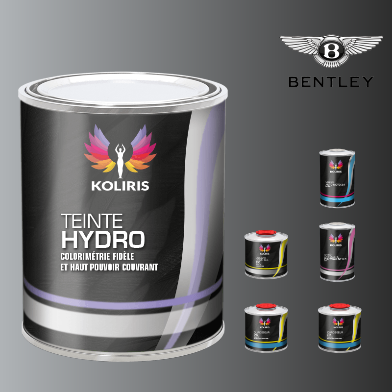 Pack peinture vernis apprêt voiture hydro Bentley