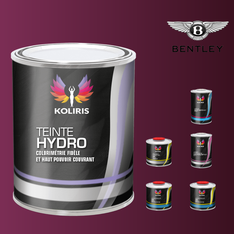 Pack peinture vernis apprêt voiture hydro Bentley