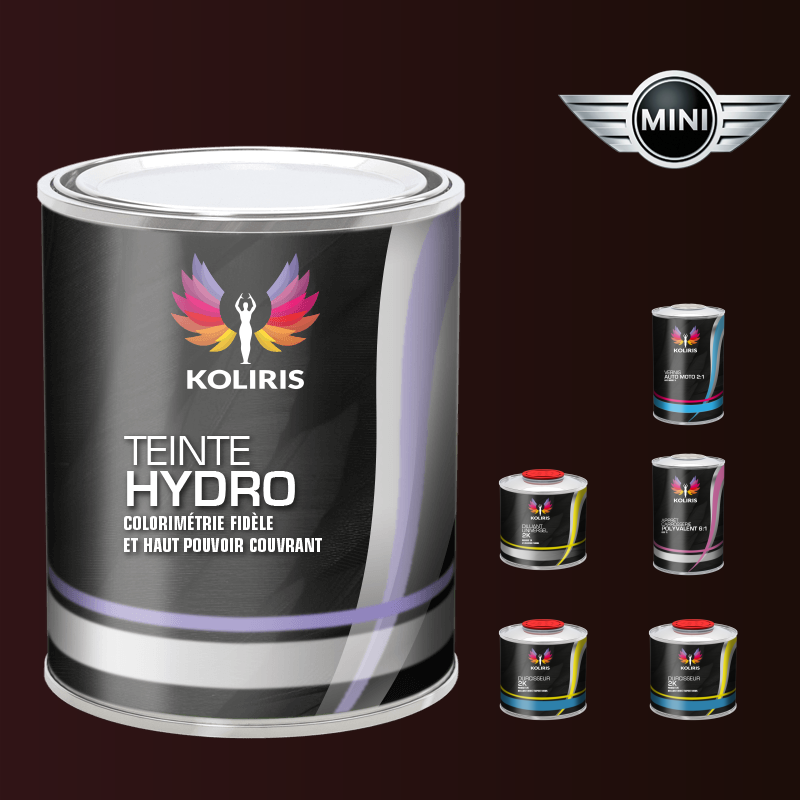 Pack peinture vernis apprêt voiture hydro Mini - Carenciel