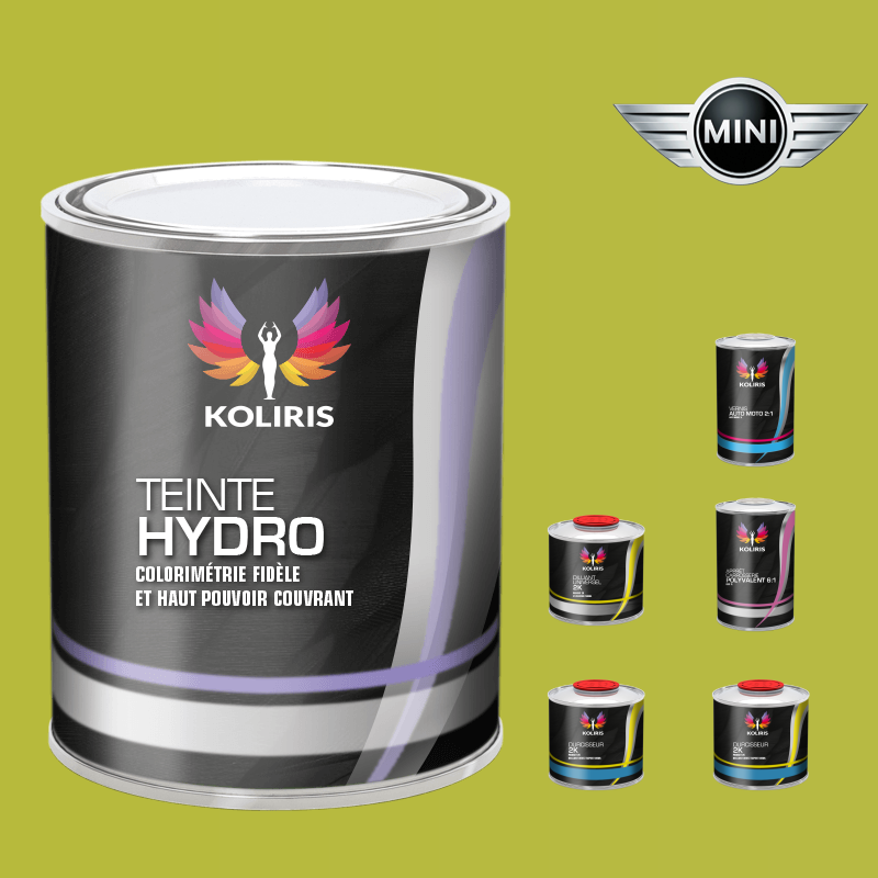 Pack peinture vernis apprêt voiture hydro Mini - Carenciel
