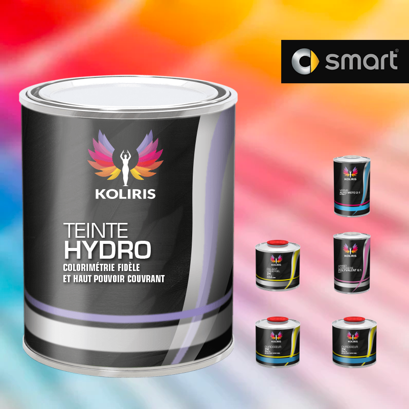 Pack peinture vernis apprêt voiture hydro Smart Koliris