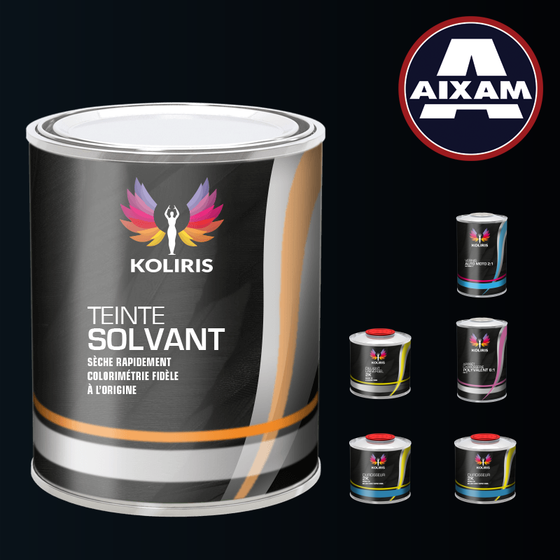 Pack peinture vernis apprêt voiture solvant Aixam Koliris