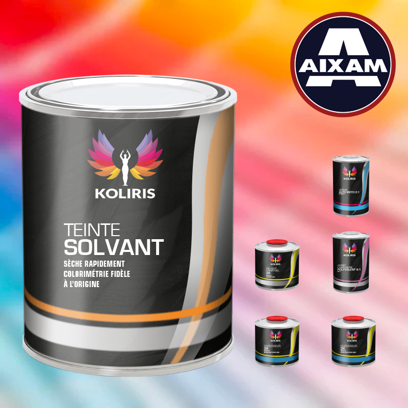 Pack peinture vernis apprêt voiture solvant Aixam Koliris