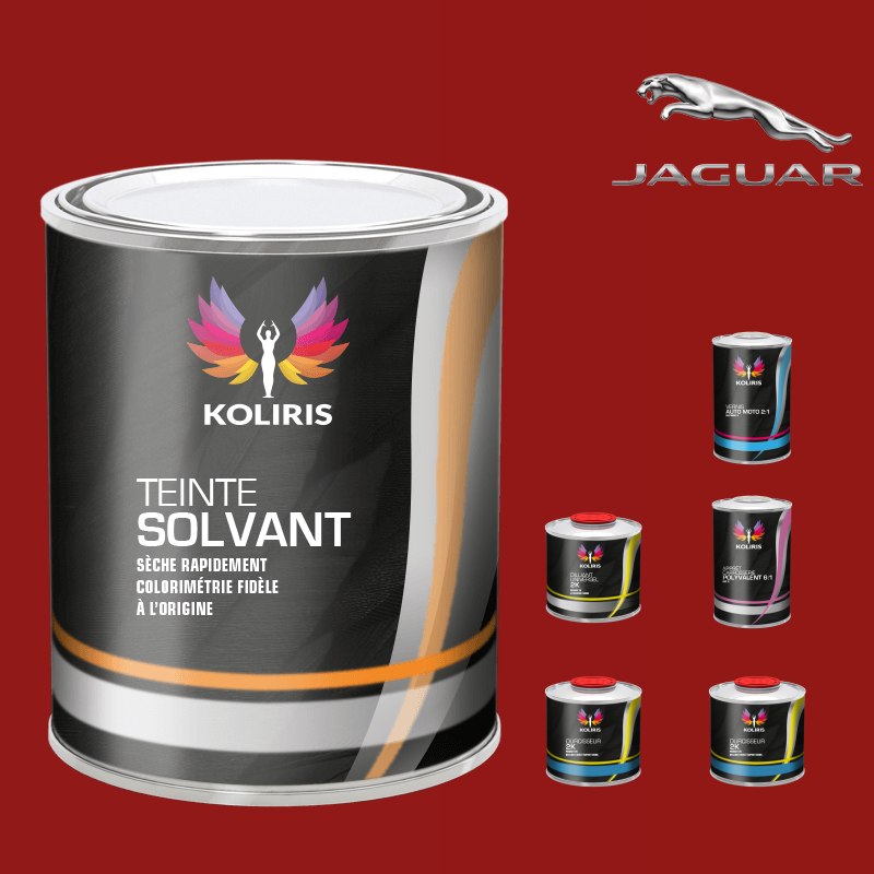 Pack peinture vernis apprêt voiture solvant Jaguar