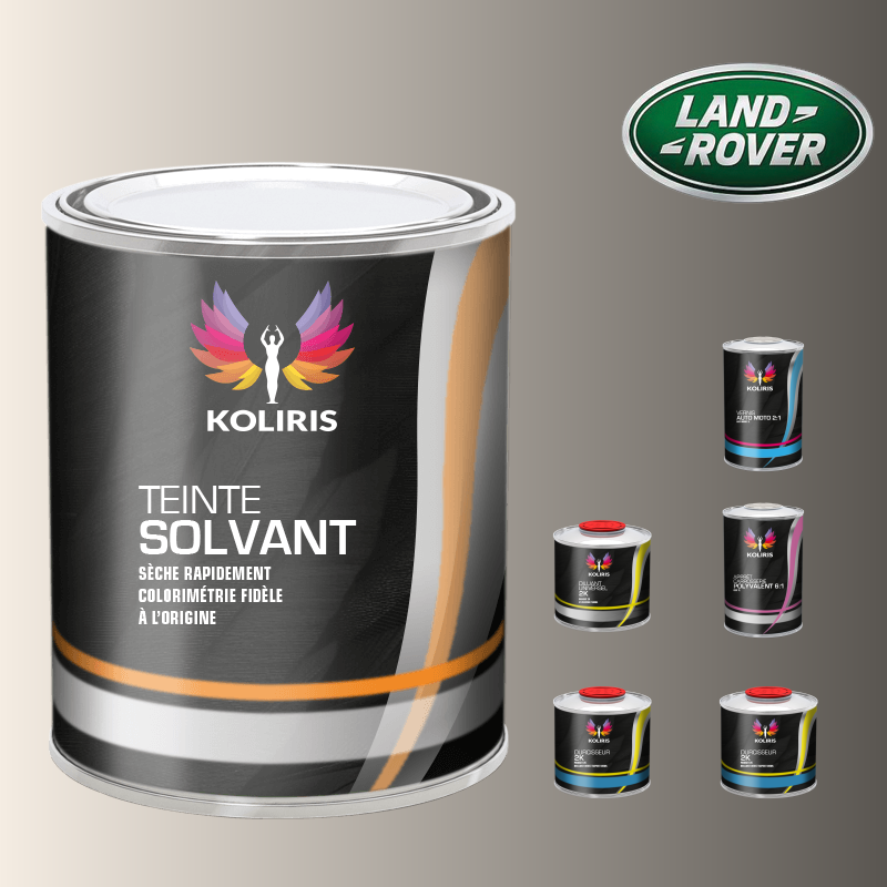 Pack peinture vernis apprêt voiture solvant Landrover - Carenciel.pro