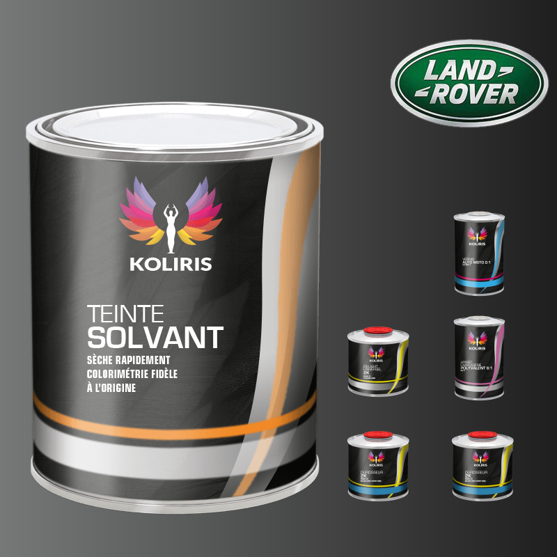 Pack peinture vernis apprêt voiture solvant Landrover - Carenciel.pro