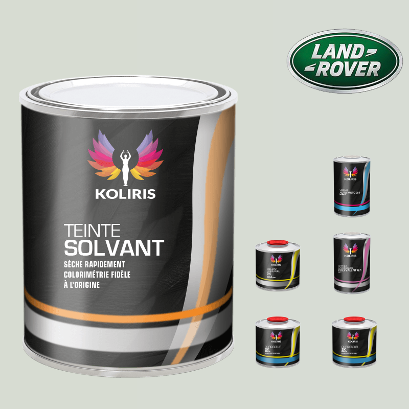 Pack peinture vernis apprêt voiture solvant Landrover - Carenciel.pro