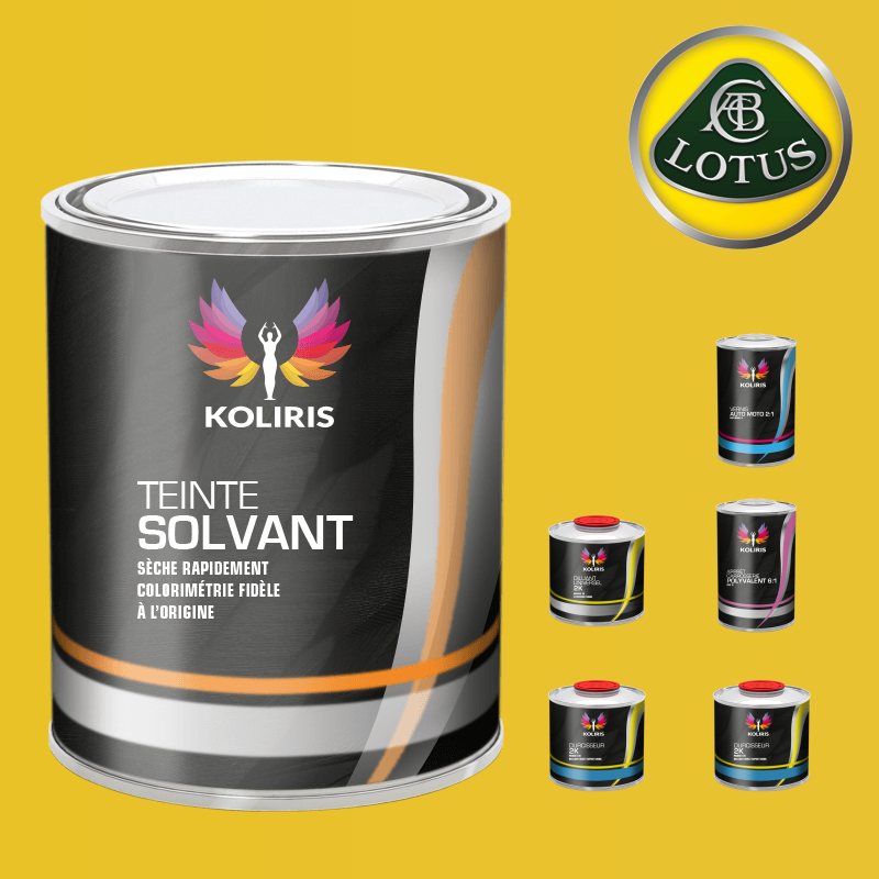 Pack peinture vernis apprêt voiture solvant Lotus - Carenciel.pro