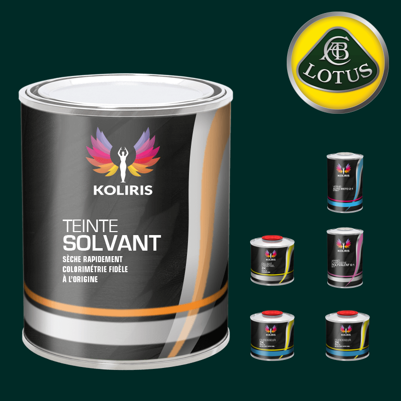 Pack peinture vernis apprêt voiture solvant Lotus - Carenciel.pro