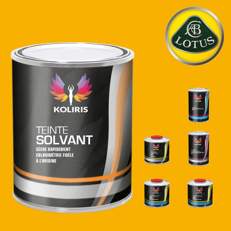Pack peinture vernis apprêt voiture solvant Lotus - Carenciel.pro