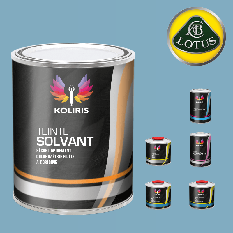 Pack peinture vernis apprêt voiture solvant Lotus - Carenciel.pro