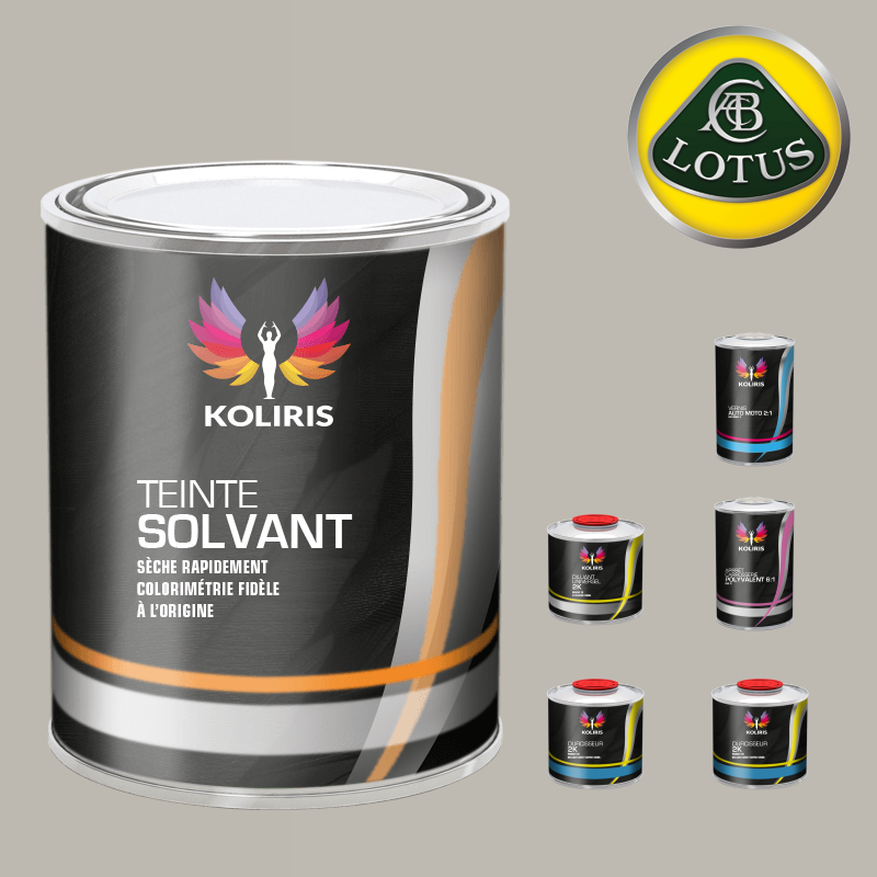 Pack peinture vernis apprêt voiture solvant Lotus - Carenciel.pro