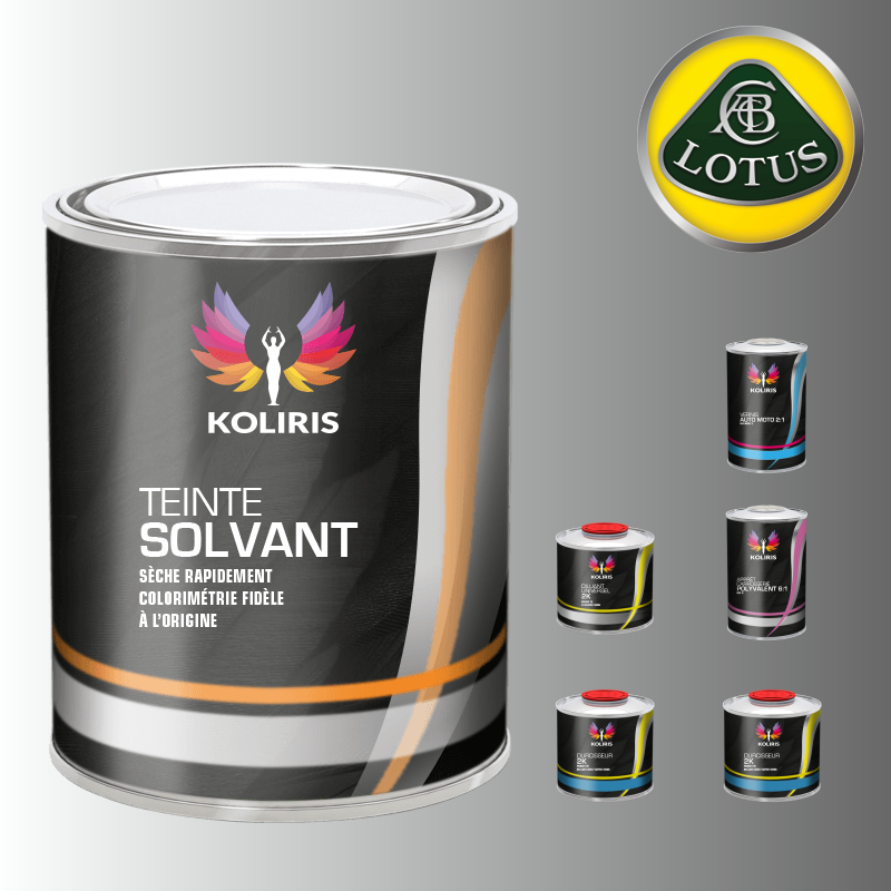Pack peinture vernis apprêt voiture solvant Lotus - Carenciel.pro