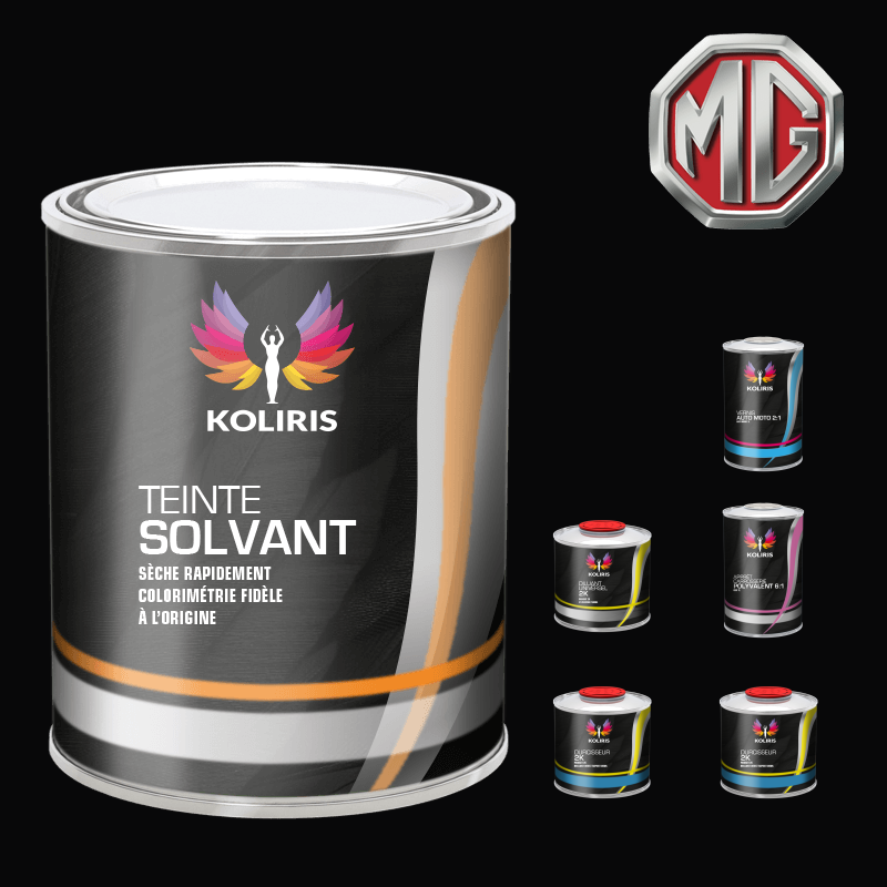 Pack peinture vernis apprêt voiture solvant Mg - Koliris