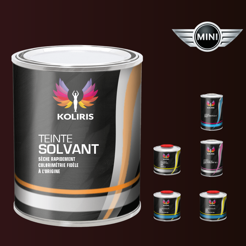 Pack peinture vernis apprêt voiture solvant Mini - Carenciel