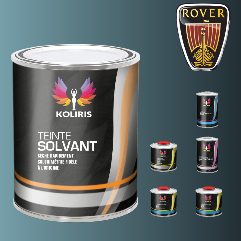 Pack peinture vernis apprêt Rover - carenciel.pro