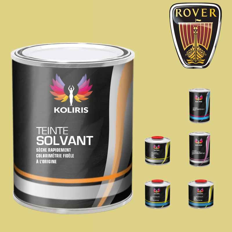 Pack peinture vernis apprêt Rover - carenciel.pro