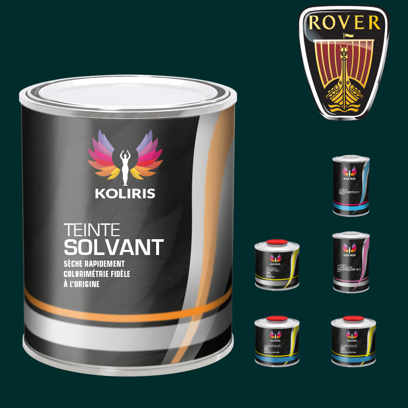 Pack peinture vernis apprêt Rover - carenciel.pro