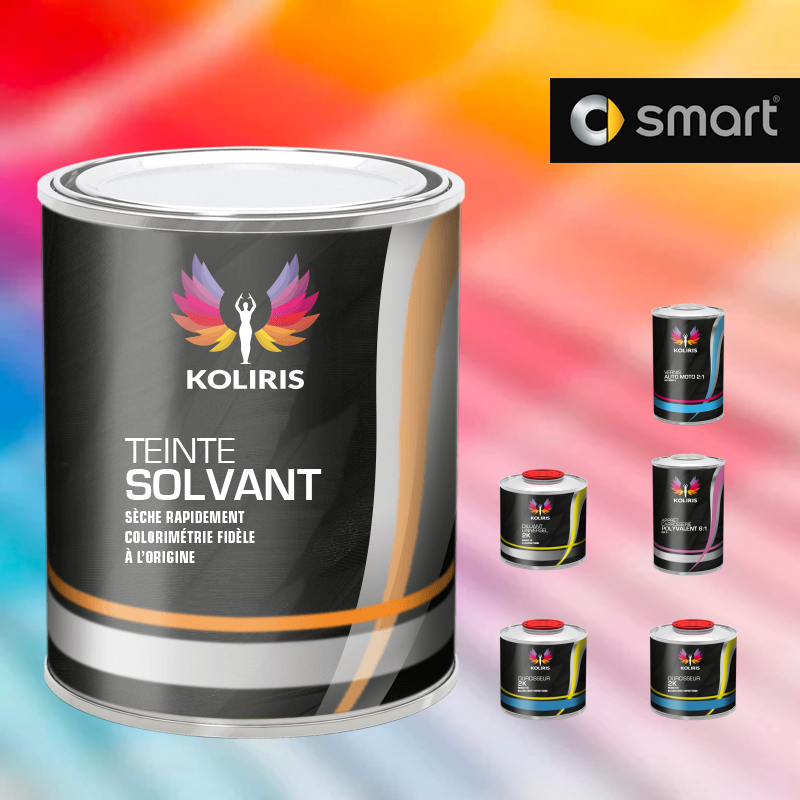 Pack peinture vernis apprêt voiture solvant Smart - Carenciel.pro