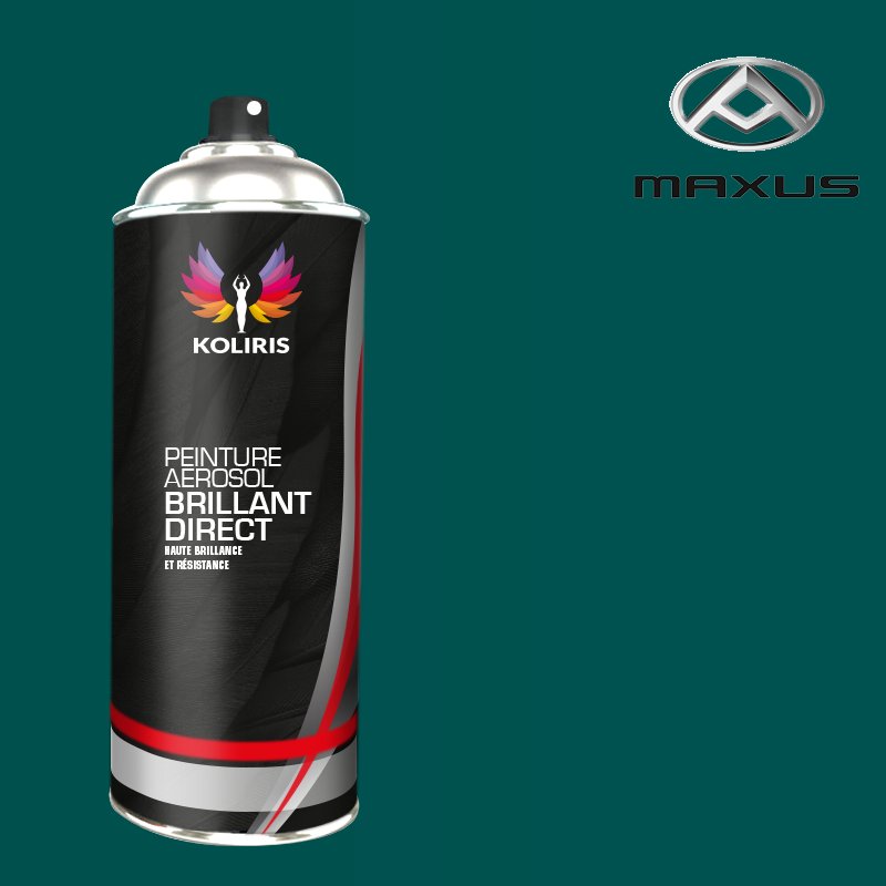 Bombe de peinture utilitaire 1K brillant Maxus - carenciel.pro