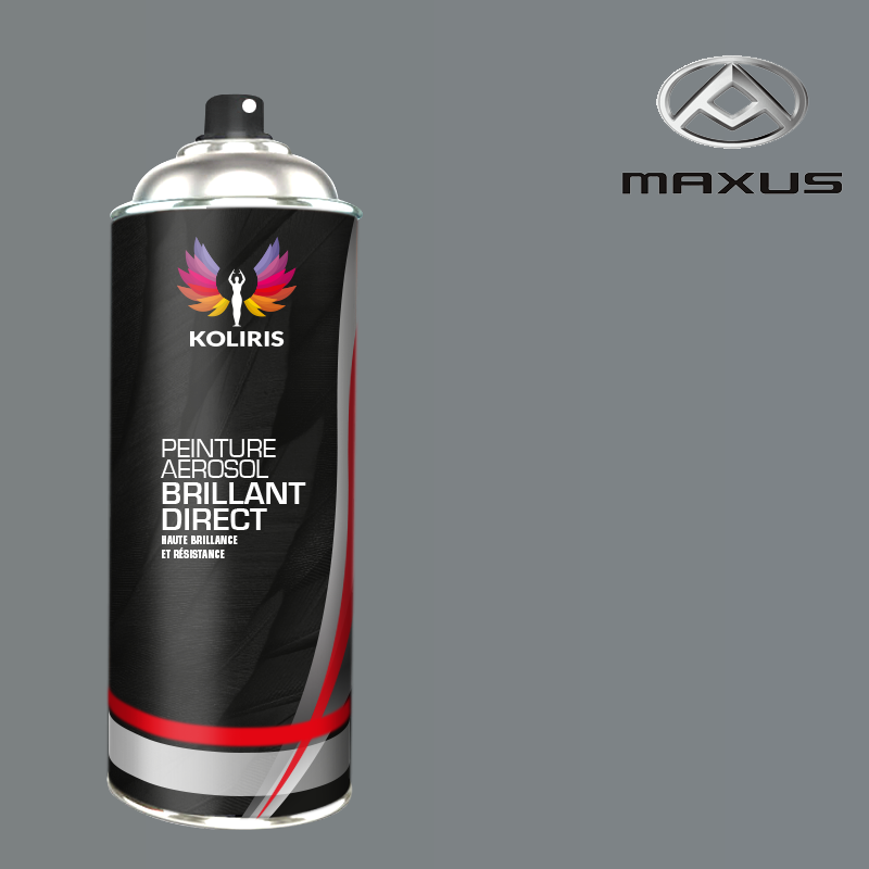 Bombe de peinture utilitaire 1K brillant Maxus - carenciel.pro