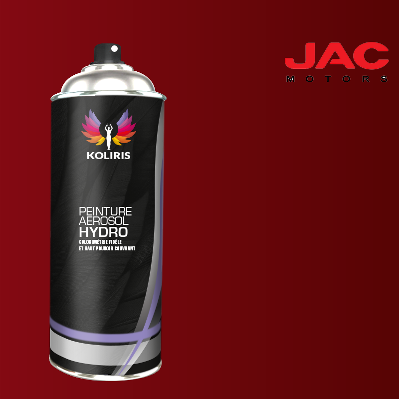 Bombe de peinture utilitaire hydro Jac Motors