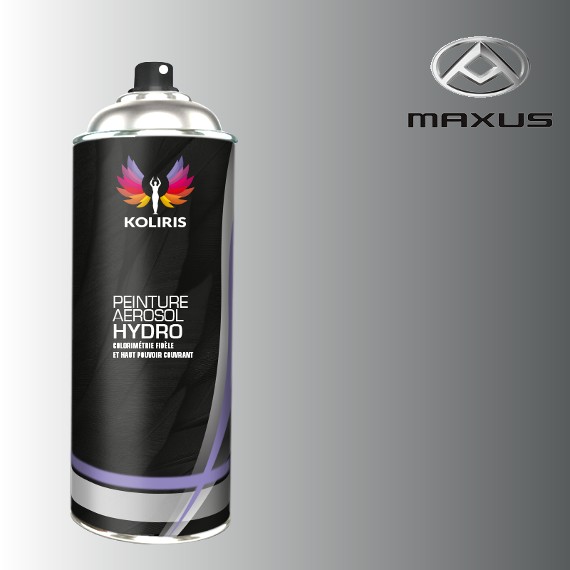 Bombe de peinture utilitaire hydro Maxus - Carenciel.pro