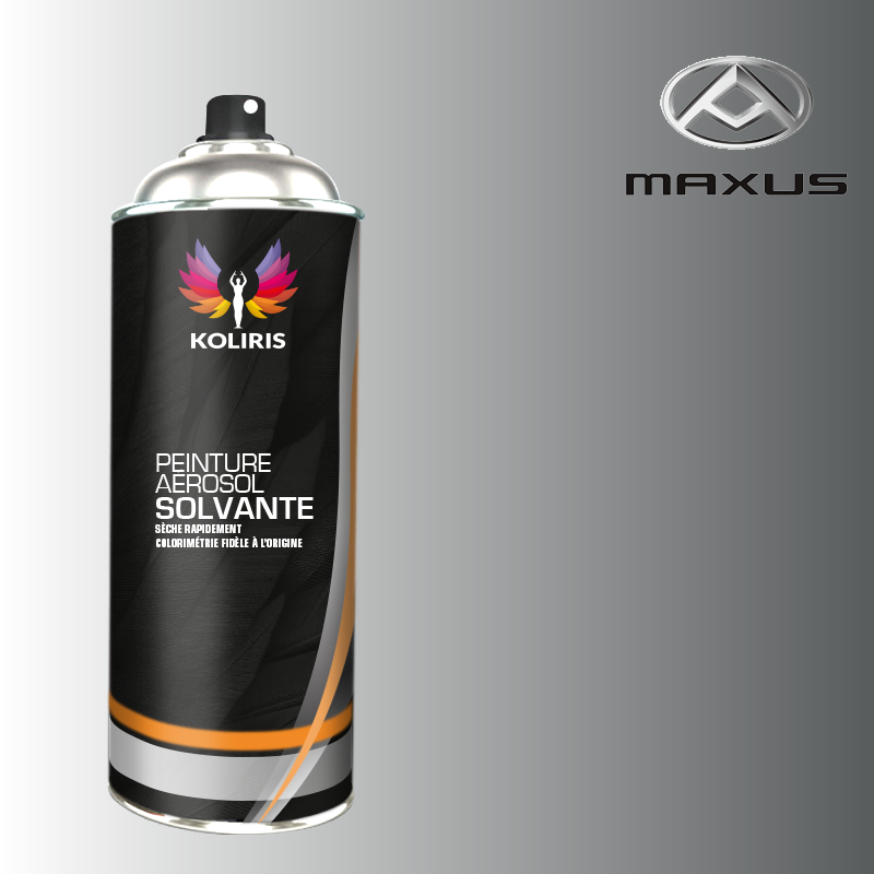 Bombe de peinture utilitaire solvant Maxus