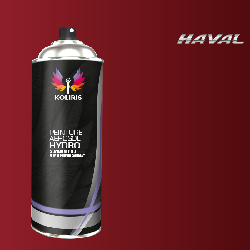 Bombe de peinture voiture hydro Haval - Koliris