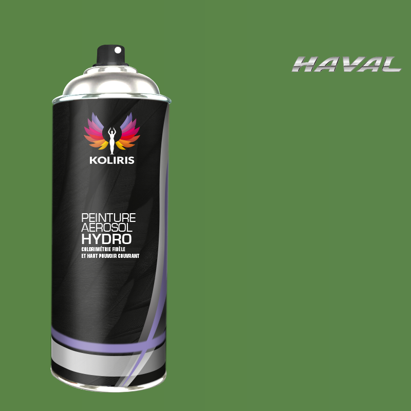 Bombe de peinture voiture hydro Haval - Koliris