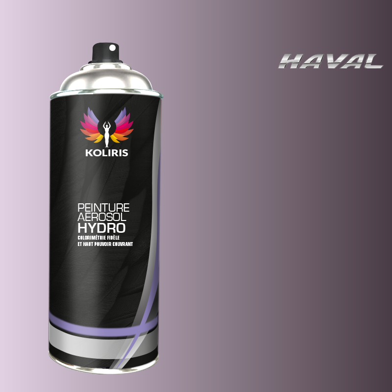 Bombe de peinture voiture hydro Haval - Koliris