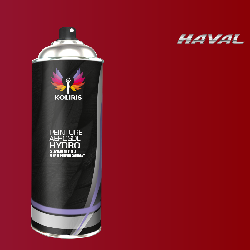 Bombe de peinture voiture hydro Haval - Koliris